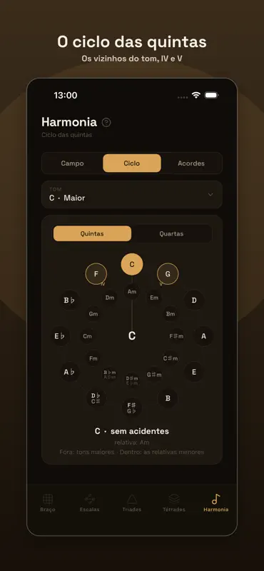 traste pro; escalas e braço screenshot 2 of 10