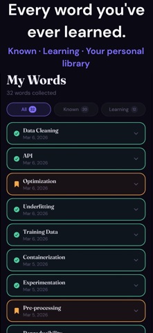 LexiPro: Professional Words screenshot