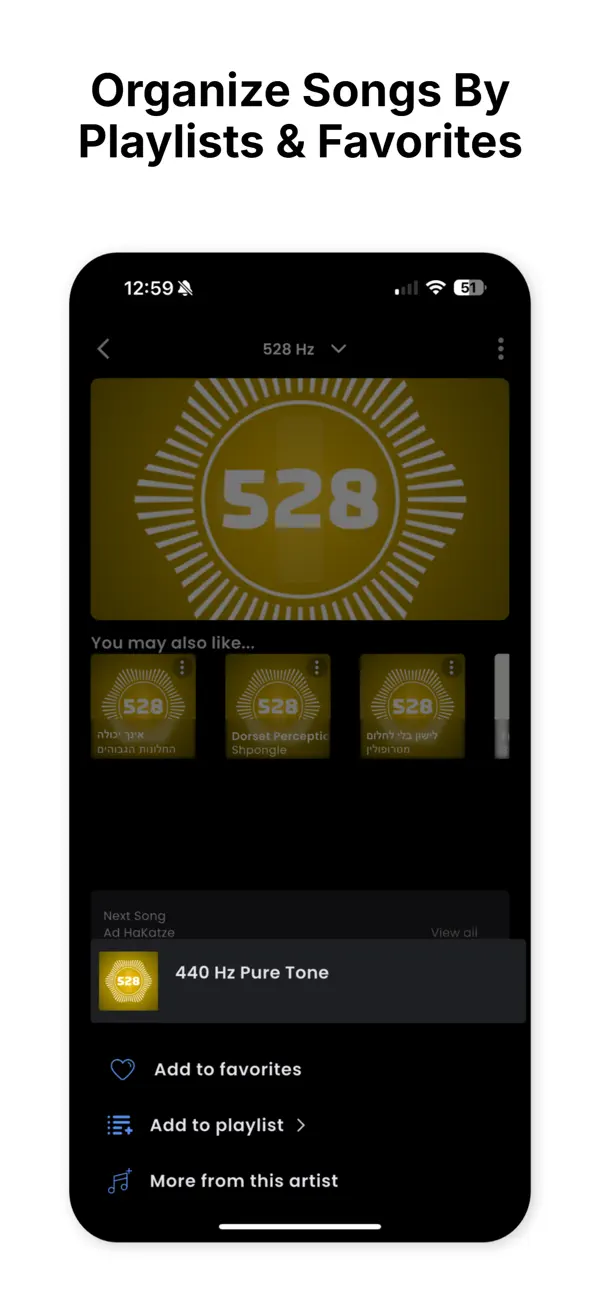 Screenshot #3 pour 528 Player Plus