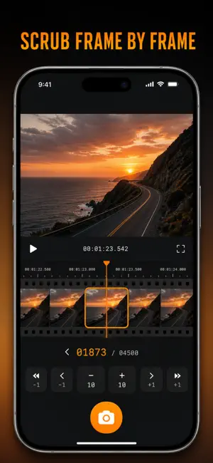 Frame Grabber: Video to JPG screenshot 2