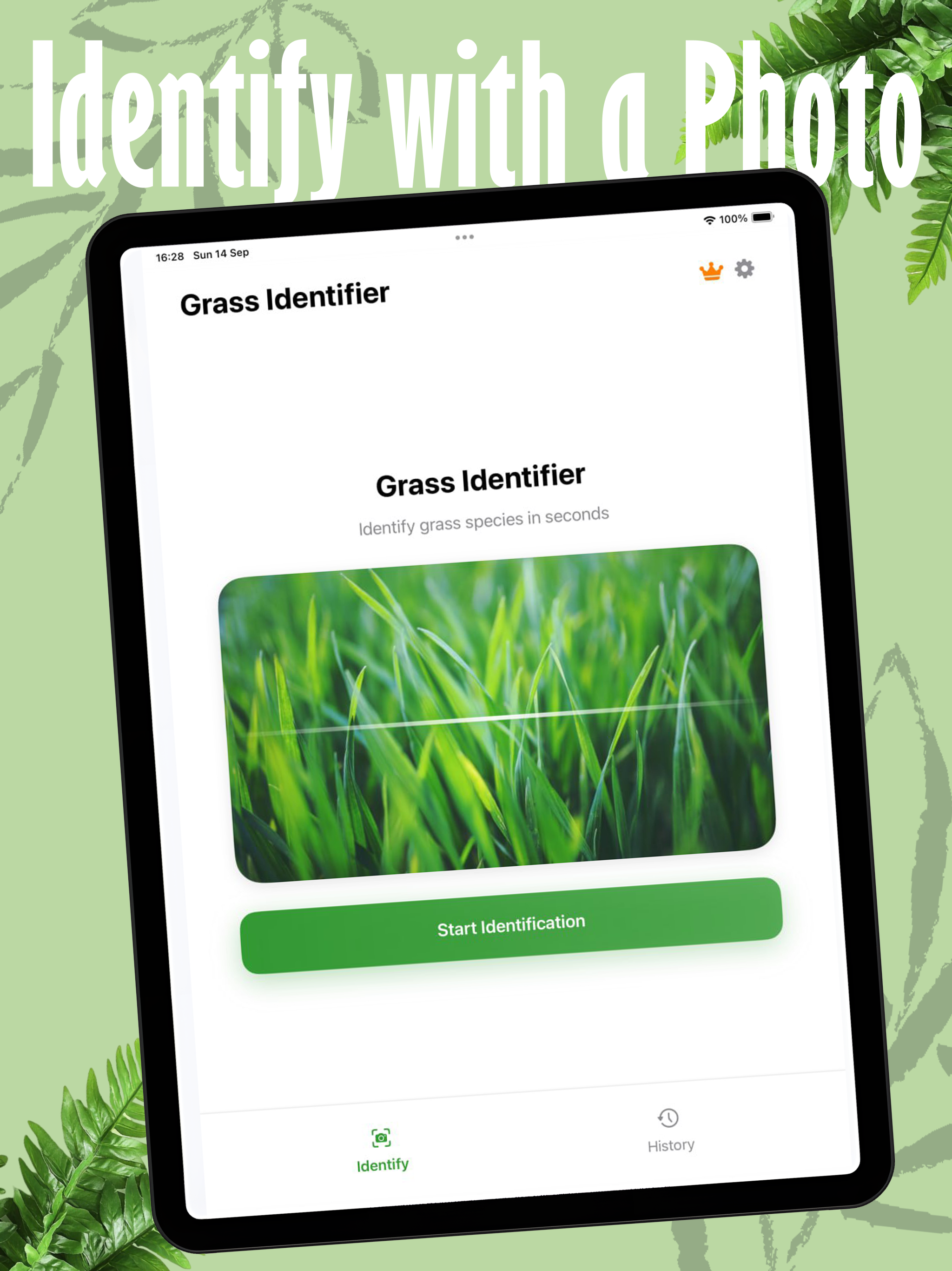 Grass Identifier Grass Scanner