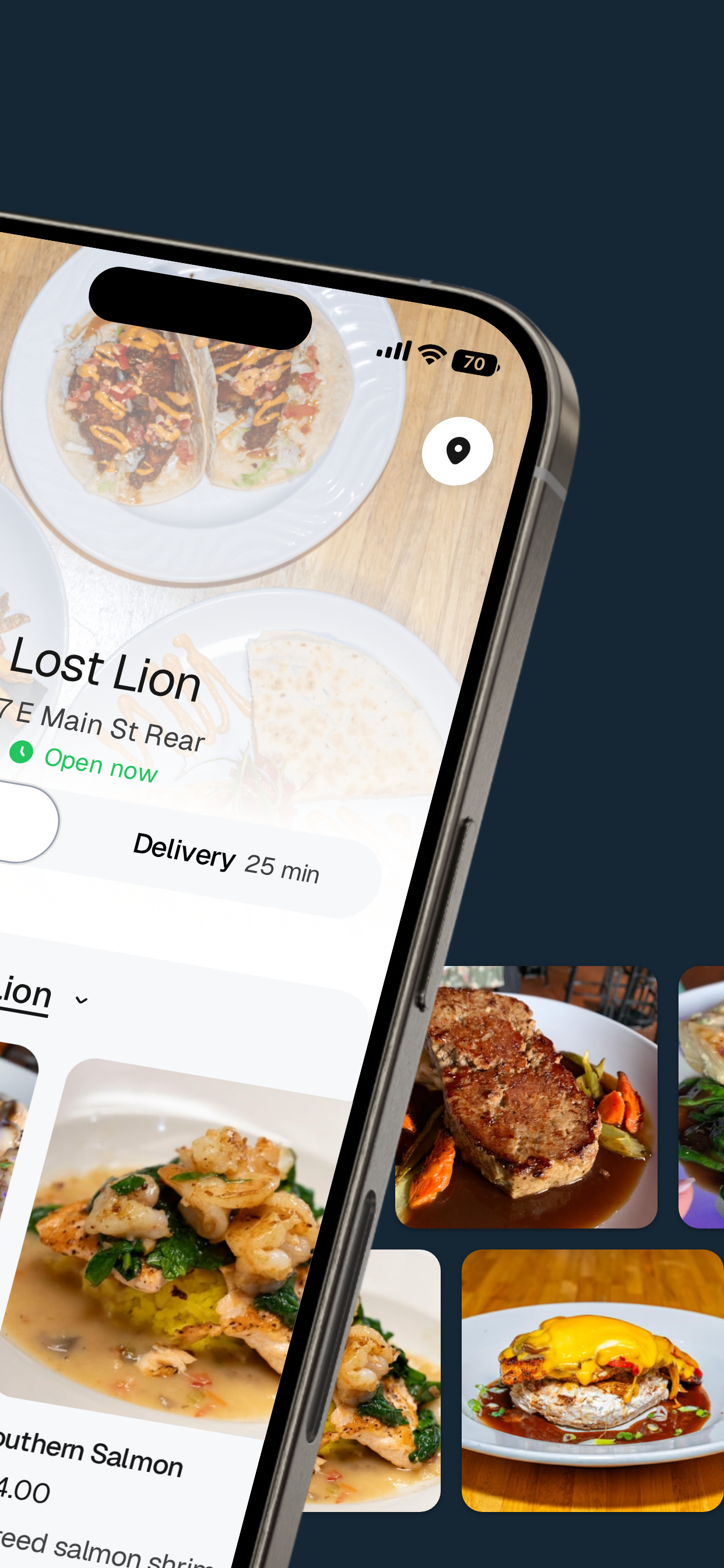 Lost Lion MD screenshot 2