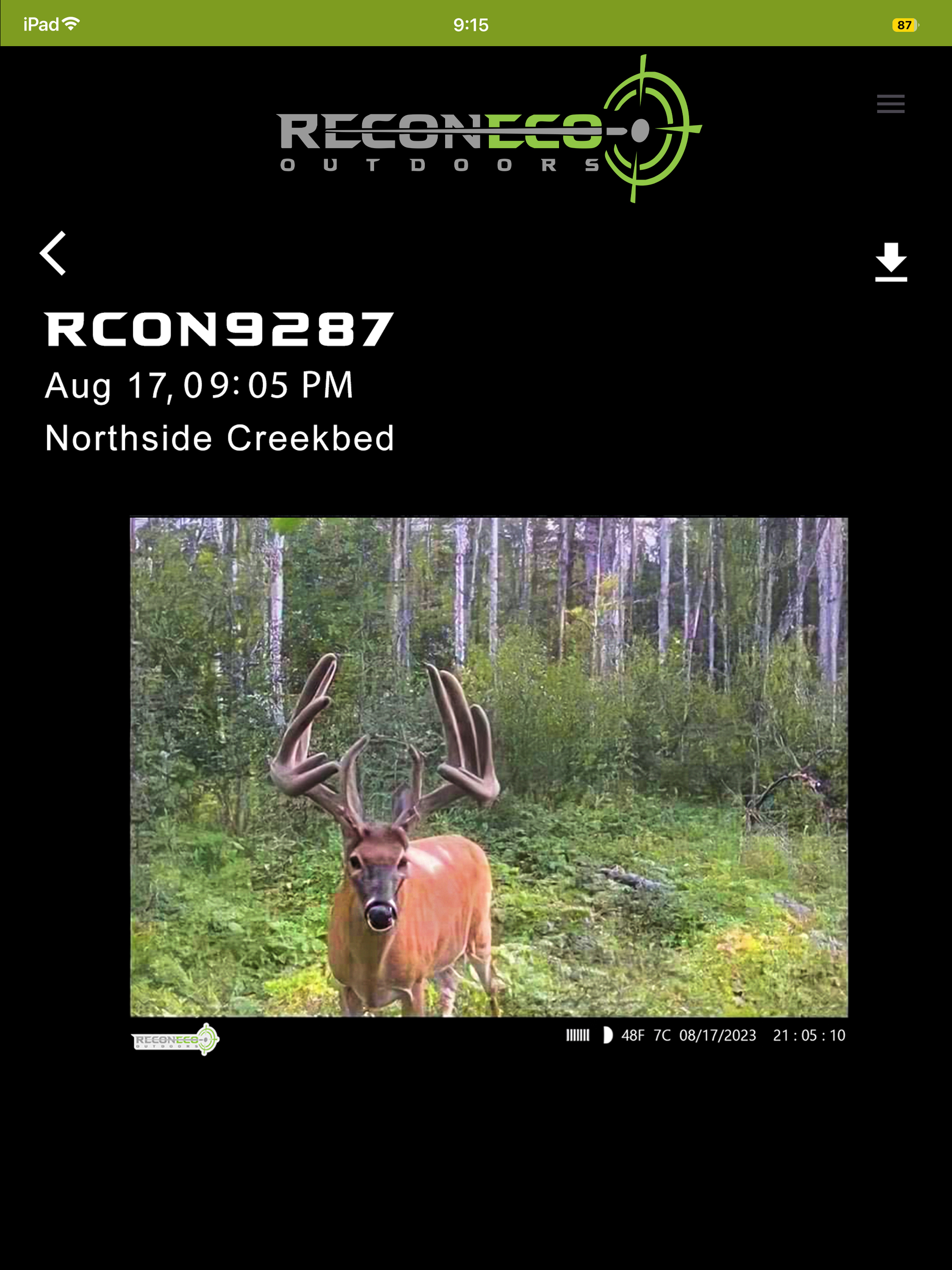 Reconeco Cams screenshot 11