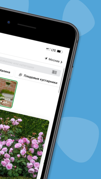Onlinesemena Screenshot