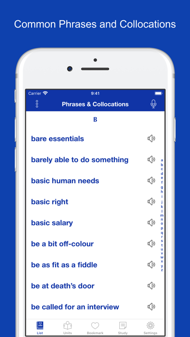 Screenshot #1 pour Common Phrases & Collocations
