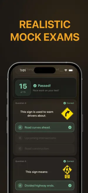 New York DMV NY: Practice Test screenshot 2