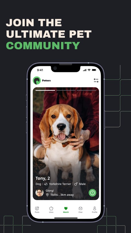 Petters screenshot-3