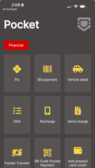 My Pocket Pay Screenshot