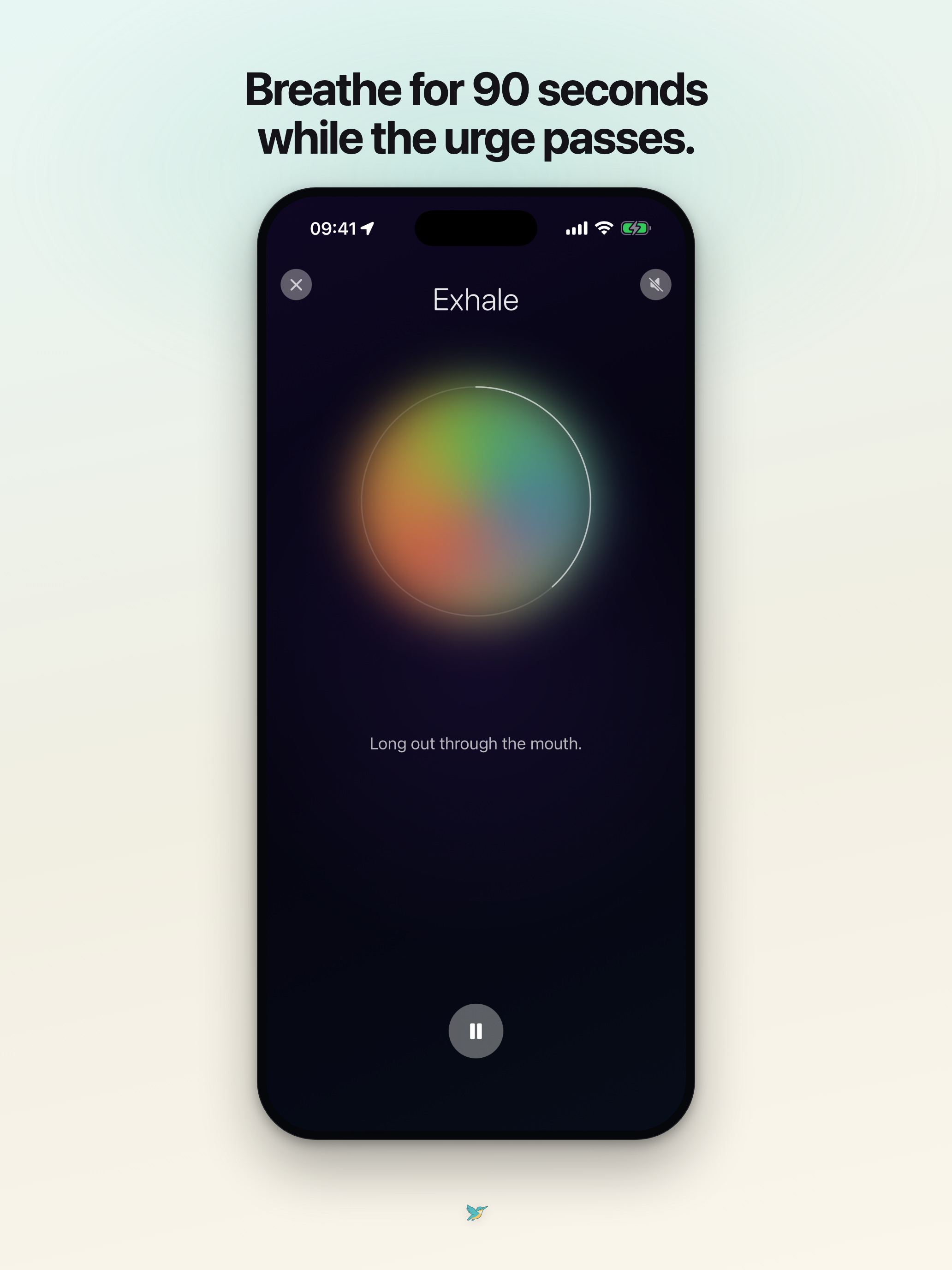 FlyOut: Calm Screen Time screenshot 13
