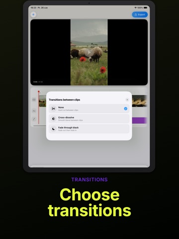 Merge Videos: Video Editor iPad screenshot