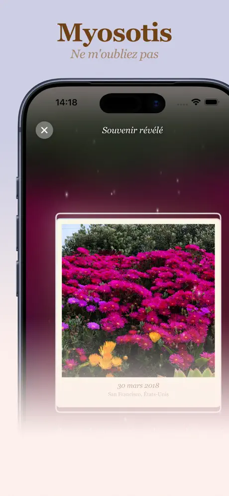 Myosotis screenshot 3