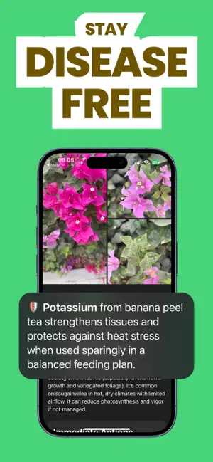 Plant Doctor - Disease Scan screenshot 3