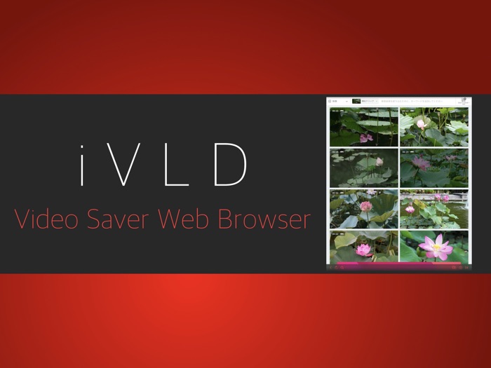 Video Saver Web Browser iVLD