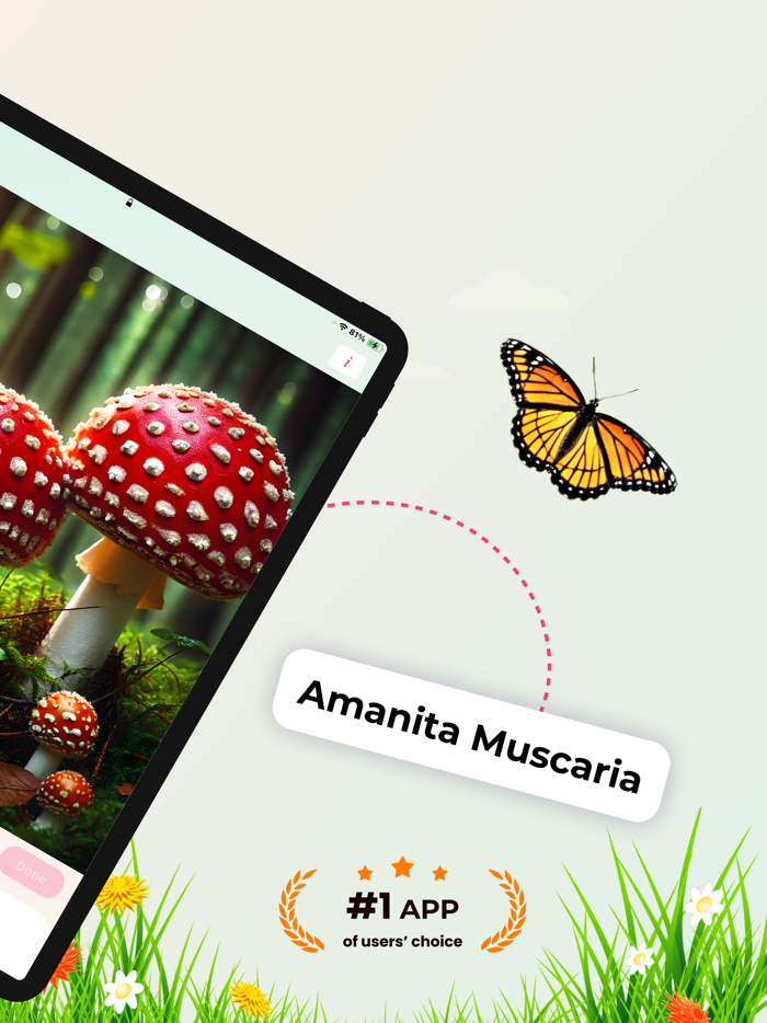 Mushroom Identifier ID AI