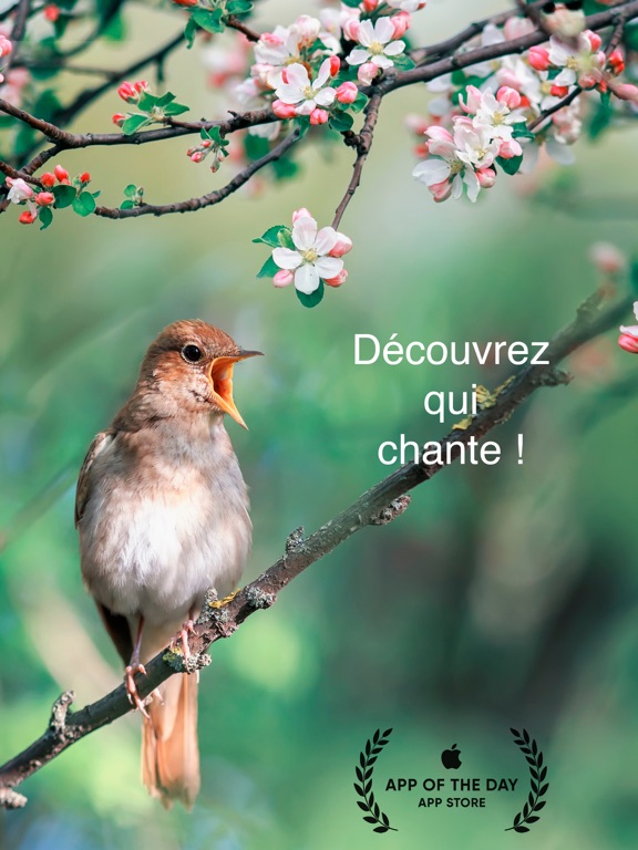 Screenshot #4 pour CuiCuiMatique chants d'oiseaux