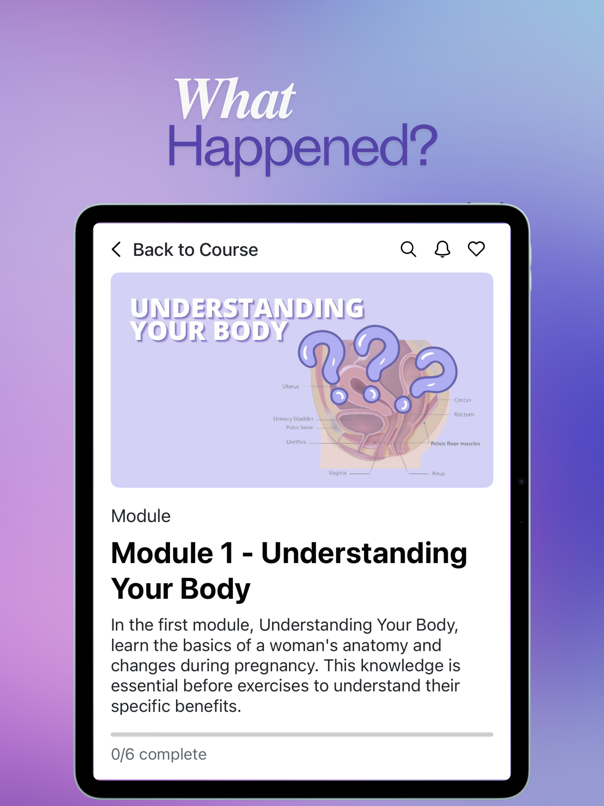 MOMentum Pro screenshot 14