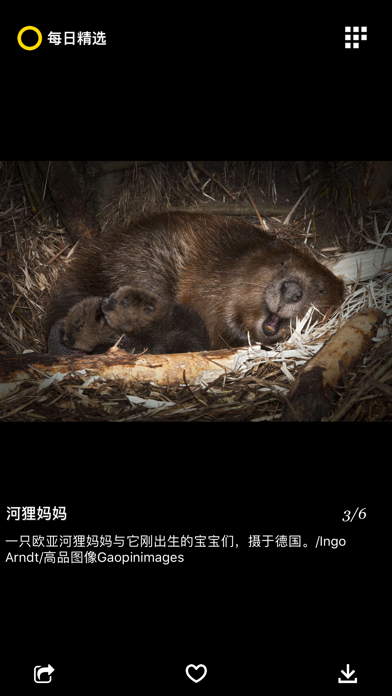 Daily Dozen-Culture in Photos Screenshot