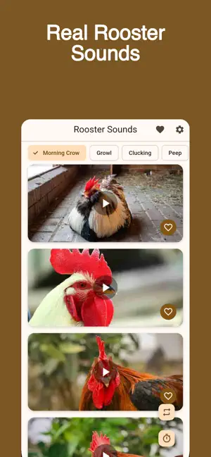 Rooster Calls & Sounds screenshot 1