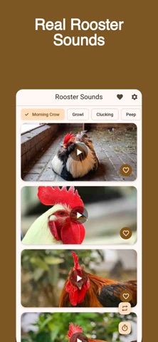 Rooster Calls & Sounds screenshot