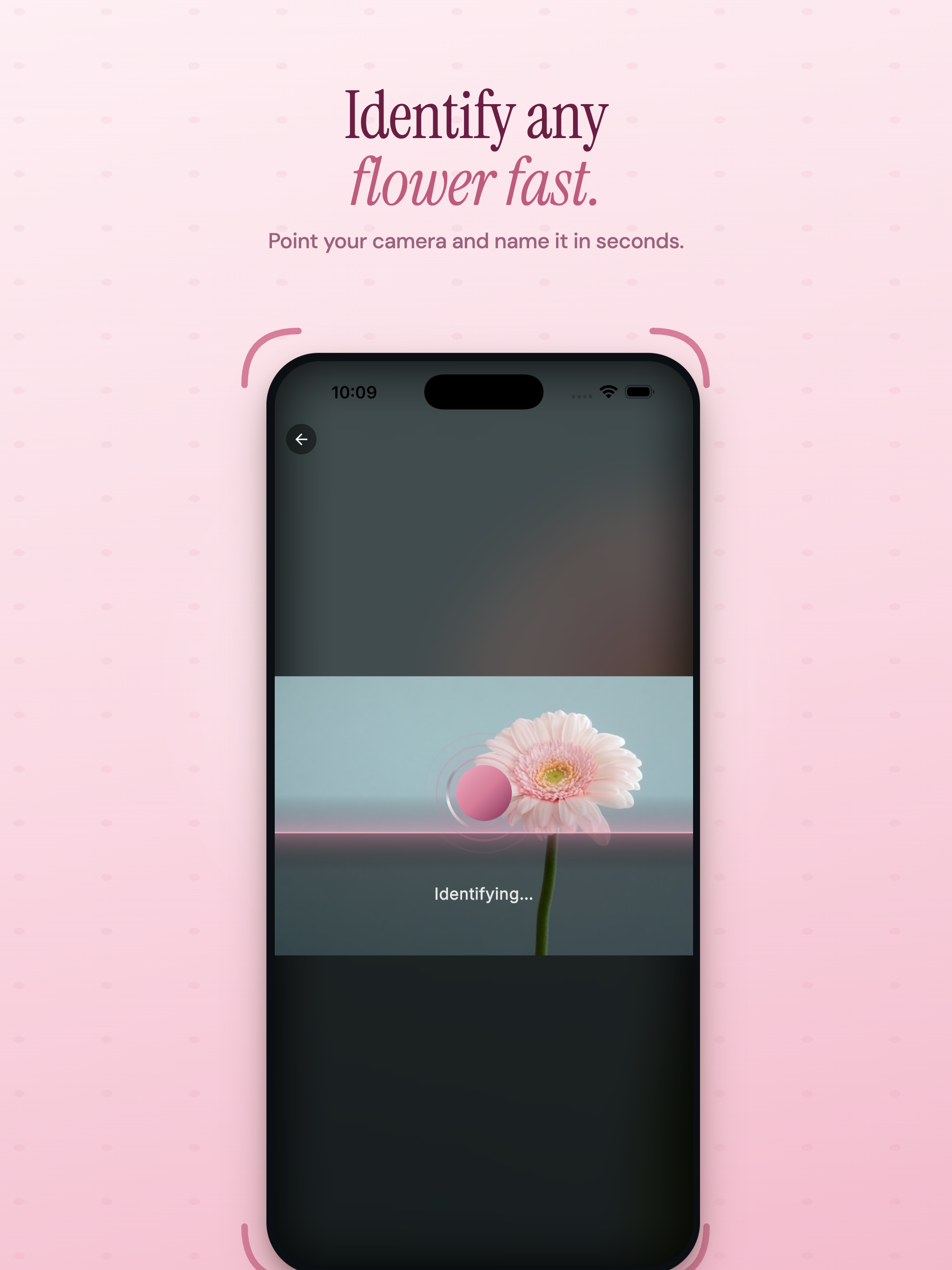 Flower Identifier: Bloom ID