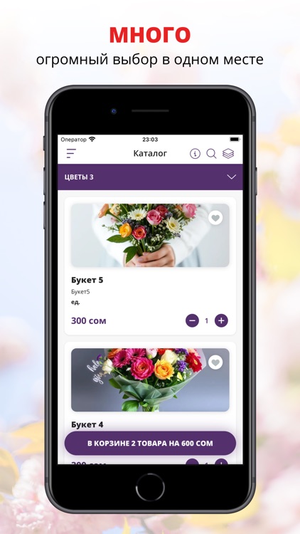 Mega Flora store | Худжанд