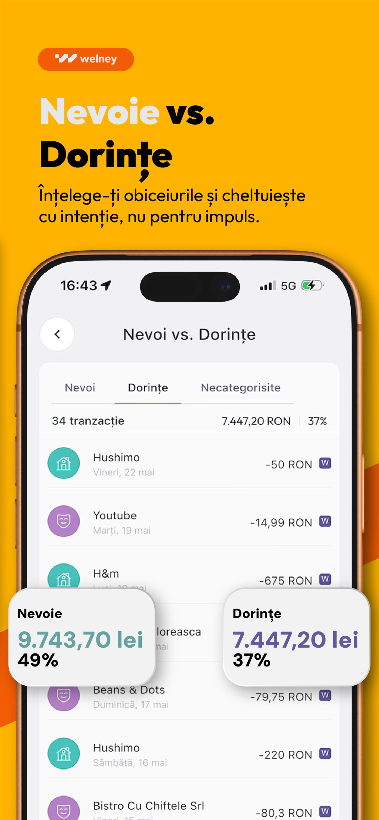 Welney: Autonomia financiară screenshot 3