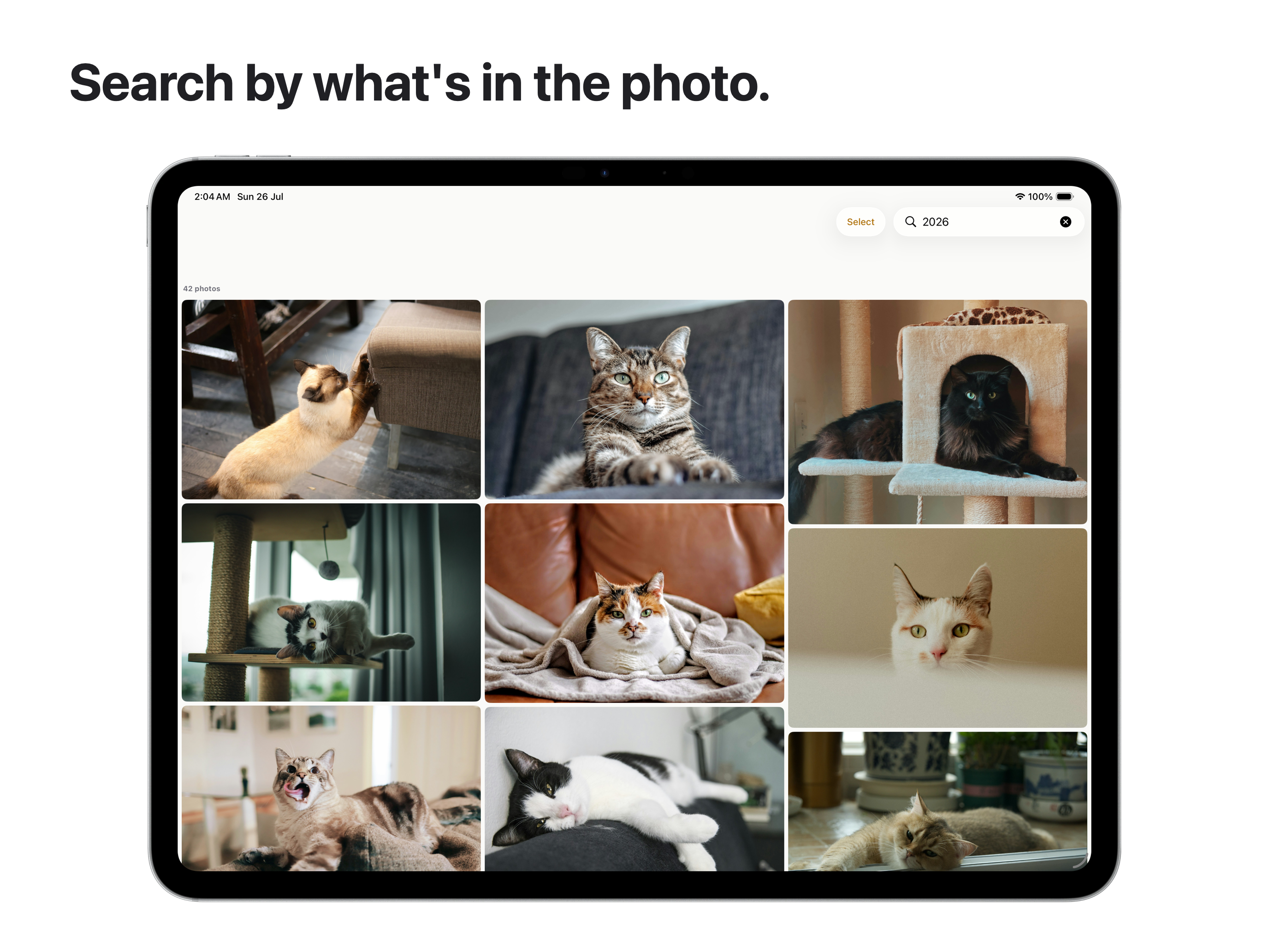 Spaces: Photo Organizer screenshot 12