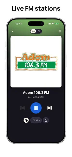 Radio Ghana FM AM Live Online screenshot 2