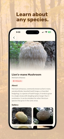 Mushroom AI: Smart Identifier Screenshot 3 of 4