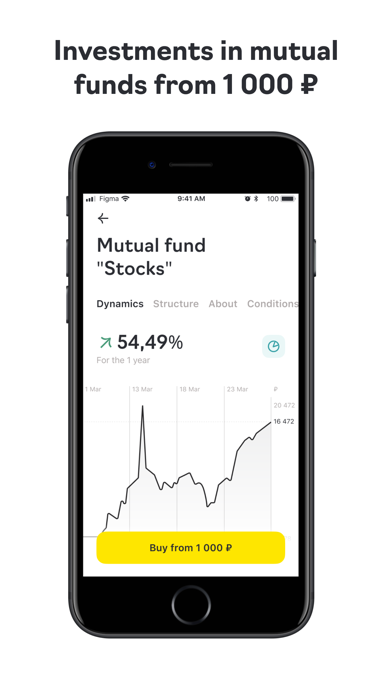 Raiffeisen Capital. Investment Screenshot