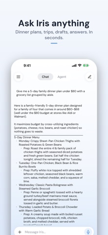 Iris AI: Assistant & Agents iPhone screenshot 1 — productivity app by Iris AI