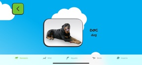ABC for Kids Learn English 2+ screenshot