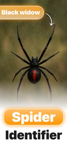 Spider Identifier ° iPhone screenshot