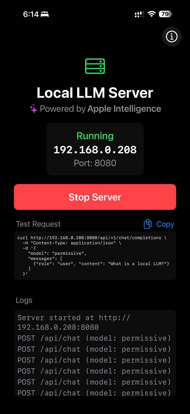 Local LLM Server iphone screenshot 1