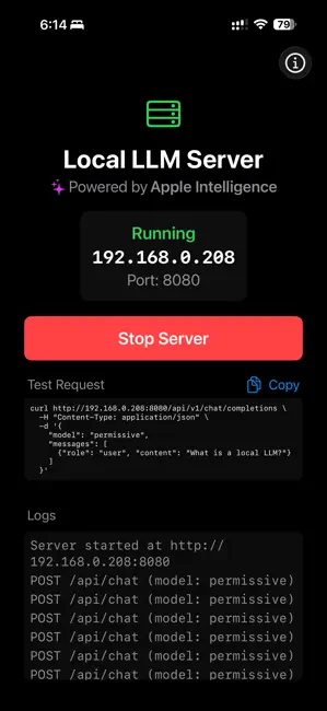Local LLM Server iPhone screenshot 1
