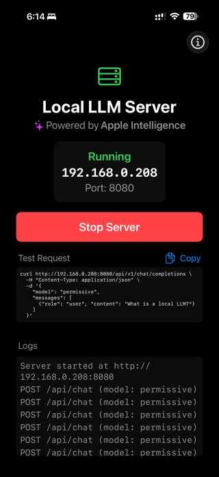 Local LLM Server Screenshot 1 of 4
