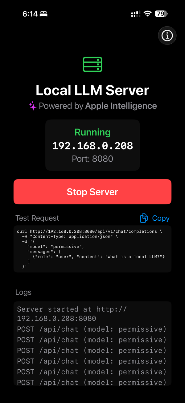 Local LLM Server - Edge AI screenshot 1