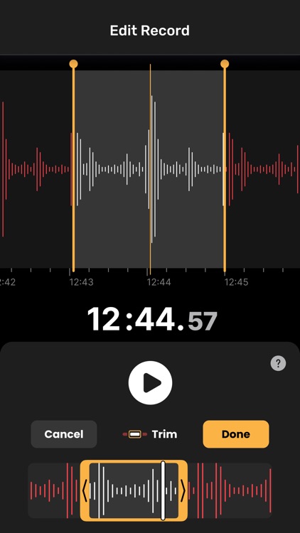 Voice Recorder Pro for iPhone