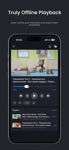 Bravo - PiP &WebVideo Playlist iPhone screenshot