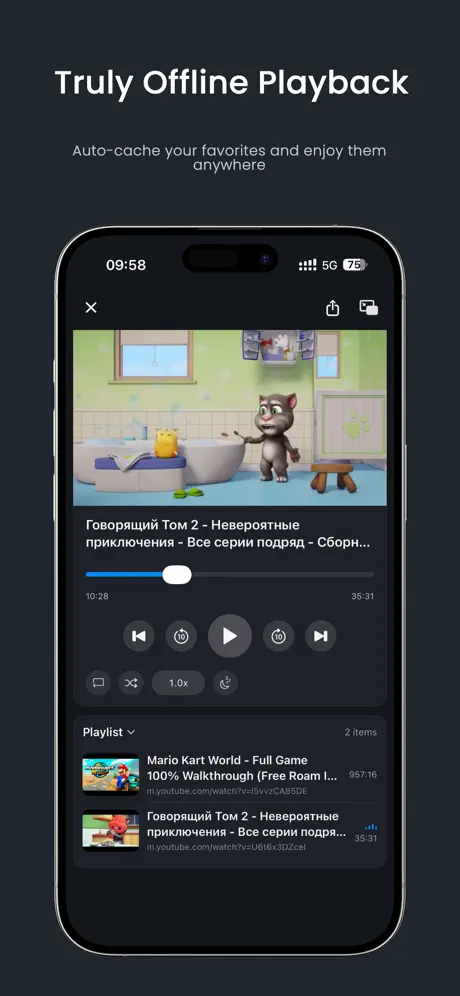 Bravo - PiP &WebVideo Playlist screenshot 3