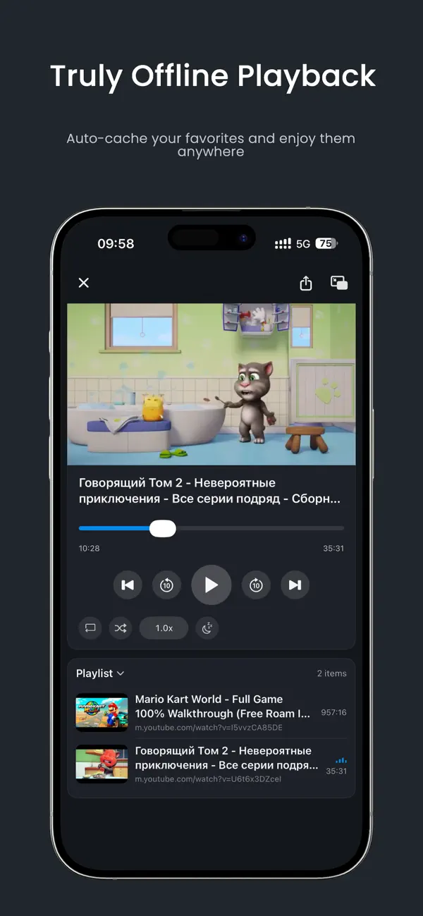 Screenshot #3 pour Bravo - PiP &WebVideo Playlist