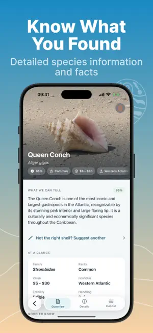 Sea Shell Identifier - AI ID screenshot 3