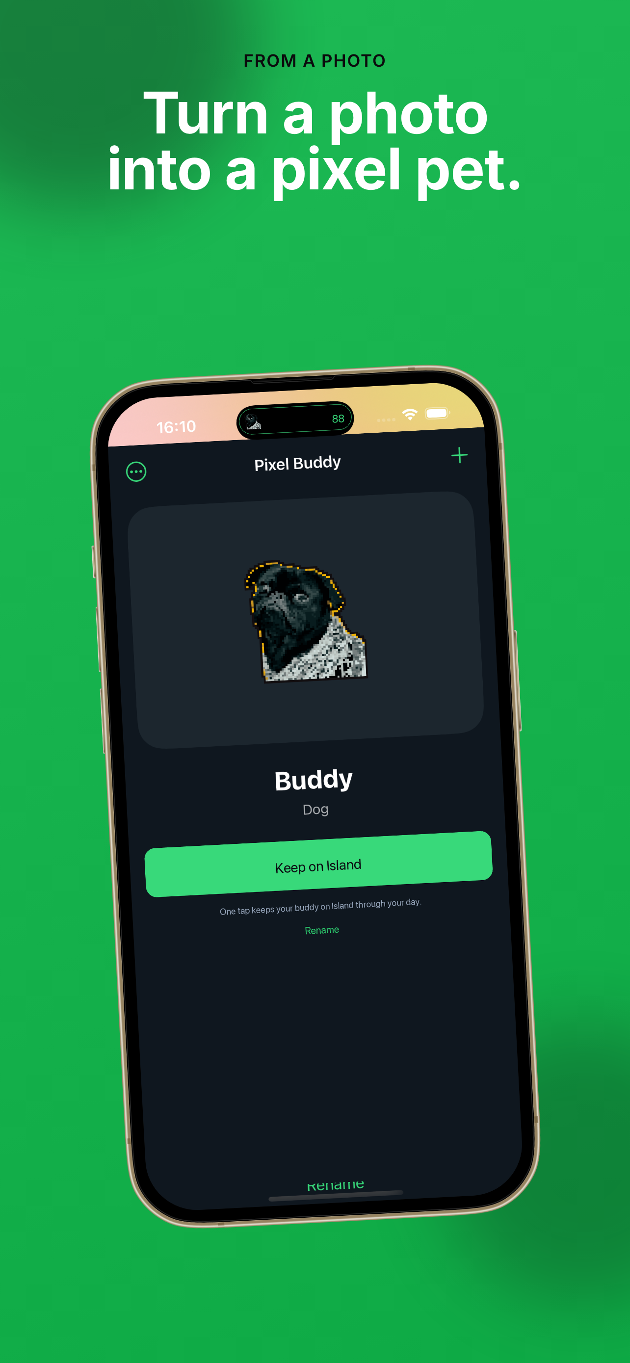 Pixel Buddy: Pet Island screenshot 2