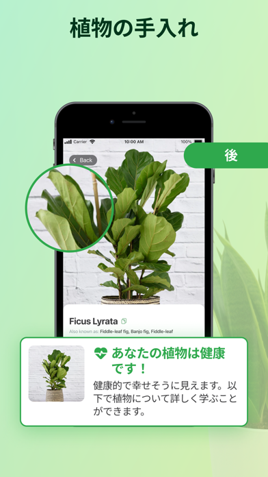 植物認識アプリ: しょくぶつ図鑑のおすすめ画像3