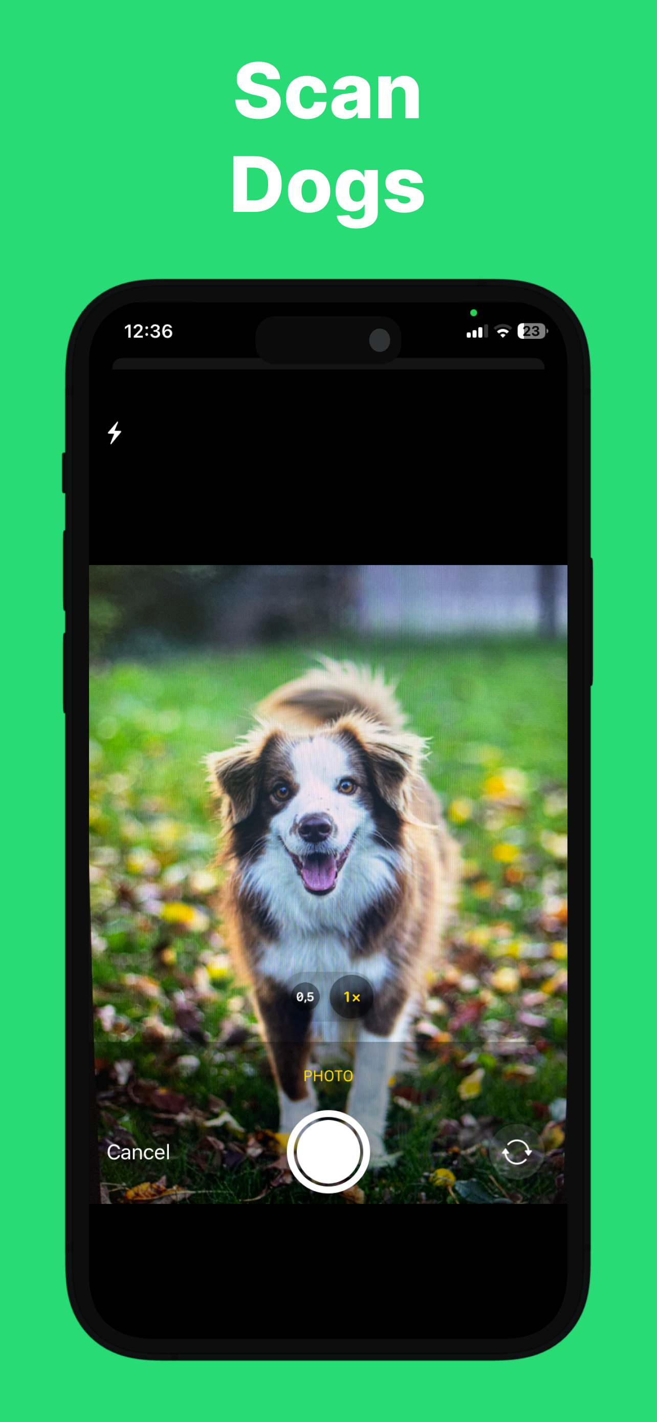 Dog Scanner: Puppy Identifier
