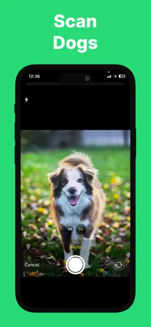 Dog Scanner: Puppy Identifier screenshot 3