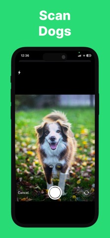 Dog Scanner: Puppy Identifier Screenshot 3 of 3