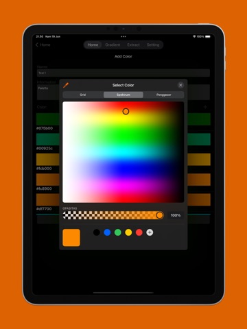 Color Palette Custom iPad screenshot