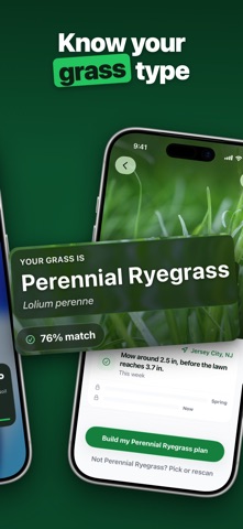 What Grass Is This? Grass ID Screenshot 4 of 10