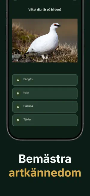 Jägarprov screenshot 3